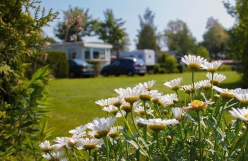 Camping veluwe kamperen